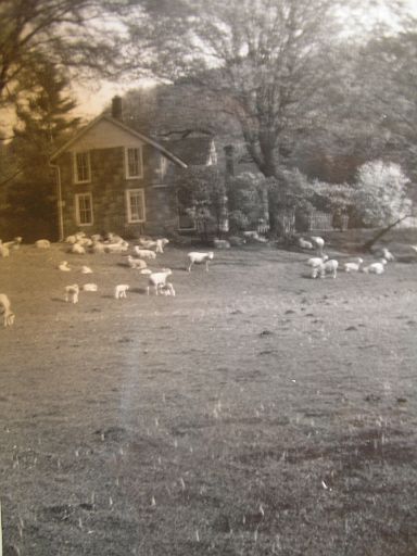 Decatur Road farm